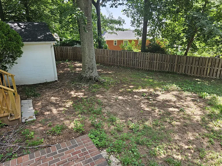 Backyard