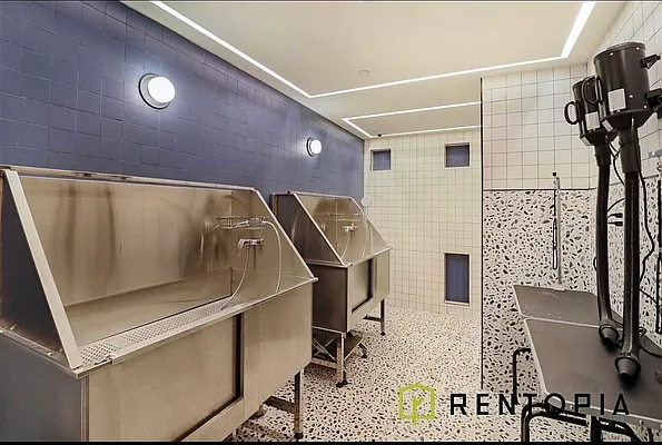 Rented by Rentopia | media 22