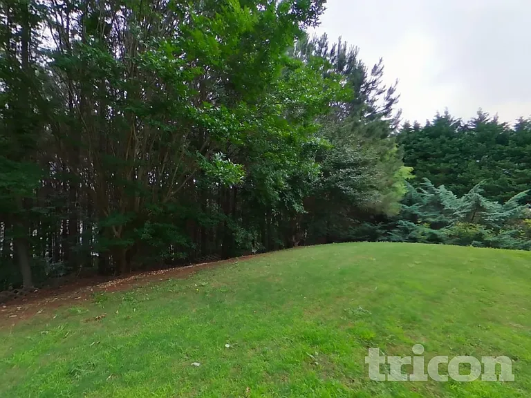 247 Augusta Woods Dr — Photo 16