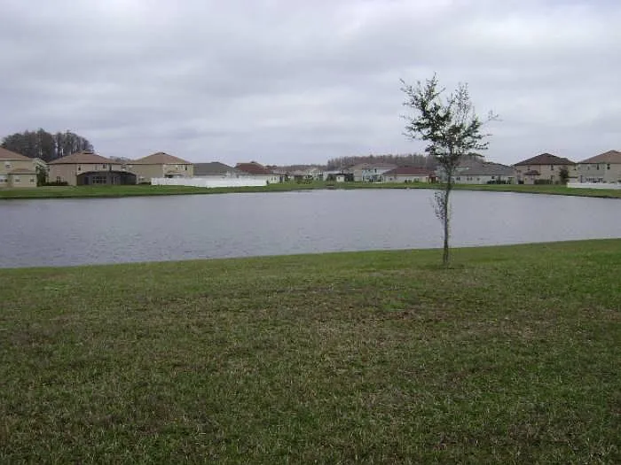 Lake view