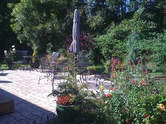 Back yard 20' X 20' stone patio