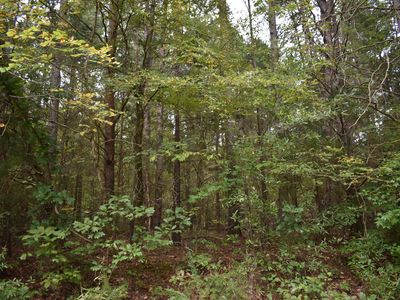 Tom Stevens Rd LOT 6-A, Siler City, NC, 27344