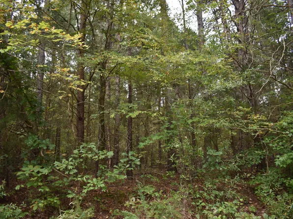 Tom Stevens Rd Lot 6-A, Siler City, NC 27344