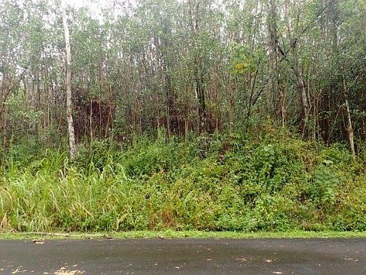 2nd image of Makamae St Lot 29