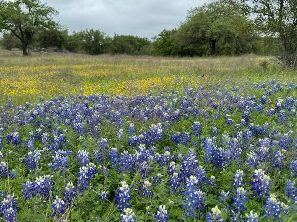 Hidden Cove Trl, Glen Rose, TX 76043