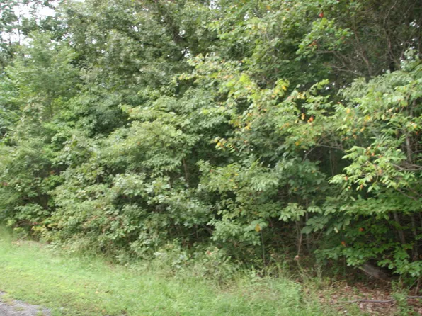 LOT 13 Lela Ct Lot 13, Harrison, AR 72601