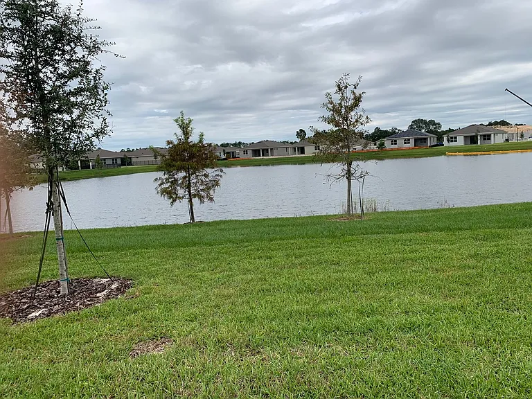 17841 Blazing Star Cir — Photo 5