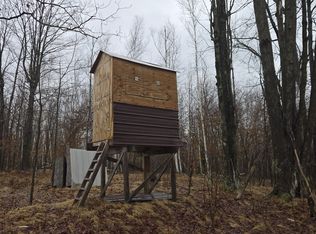 20 Mile Rd, Marion, MI 49665