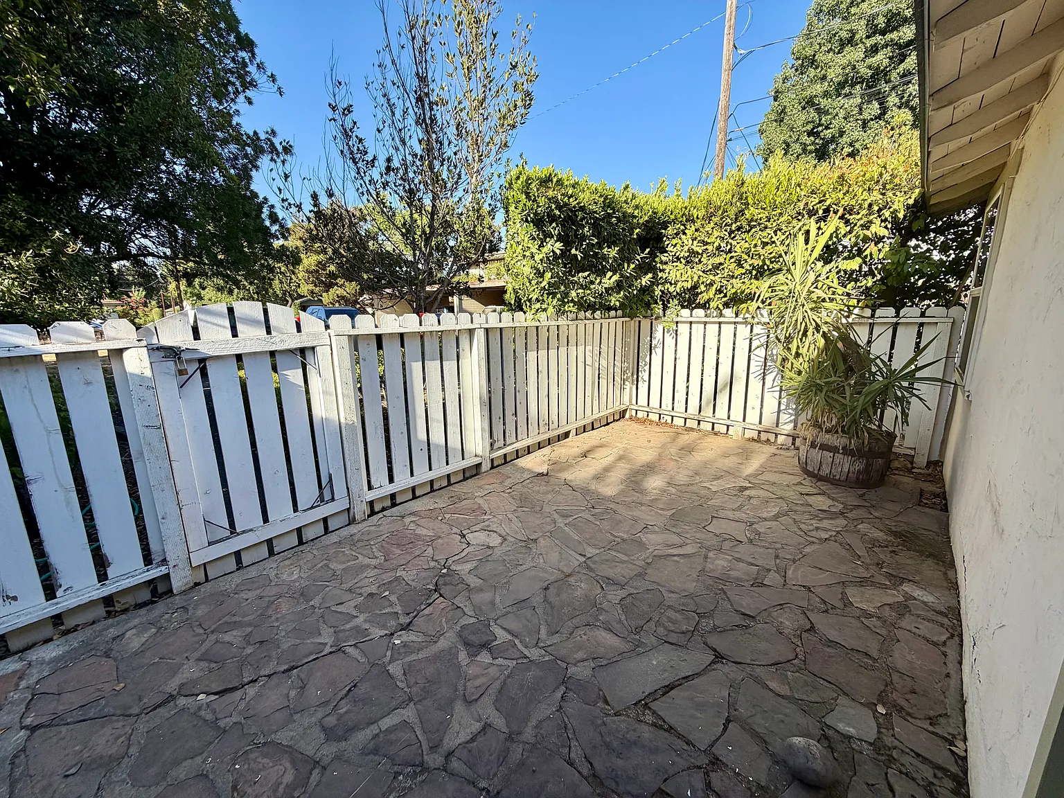 1 bed, 504 sqft, $1,175 — Photo 2