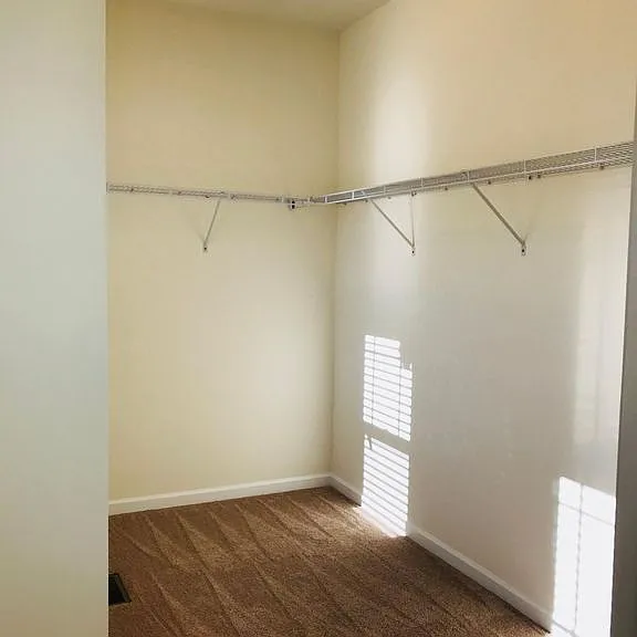 330 River Pine Dr — Photo 9