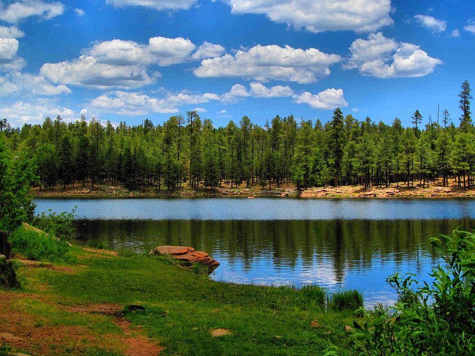 White Mountains of Arizona