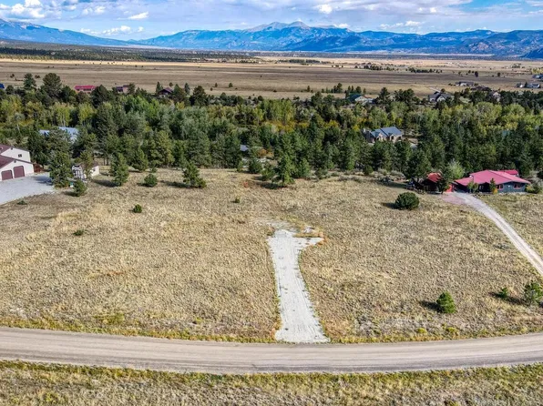 13647 County Road 261 A LOT 77, Nathrop, CO 81236