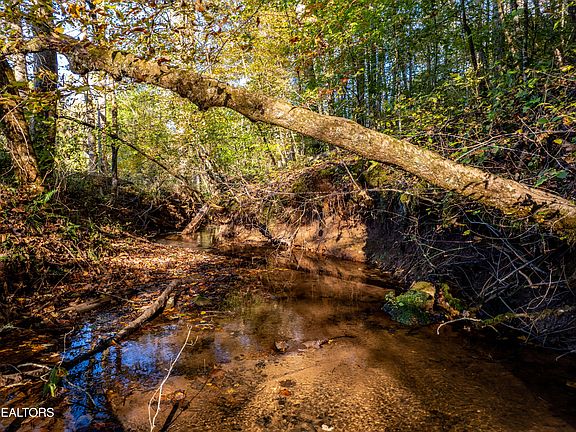 56th image of this home