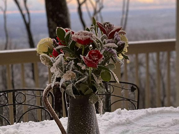 3rd image of 1911 Ridgeview Dr