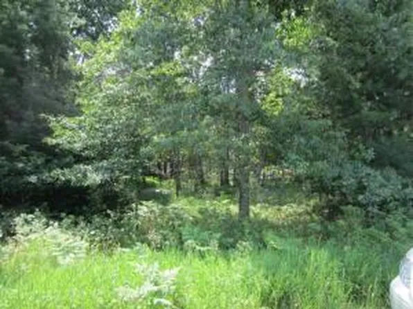 W Airport Rd, Saint Helen, MI 48656