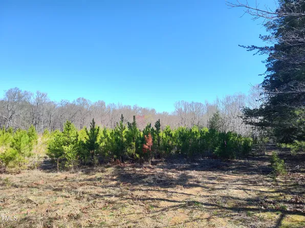9530 State Highway 57 #3, Rougemont, NC 27572
