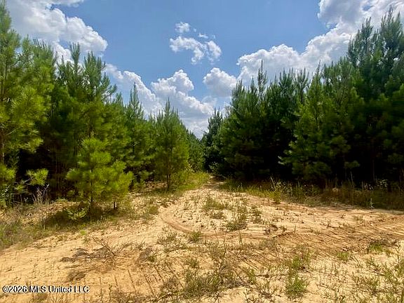 5th image of County Line Rd