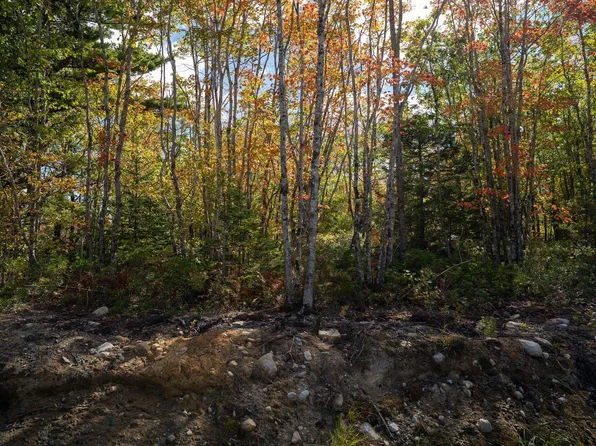 Morton Dr #88, Queens, NS B0T 1K0