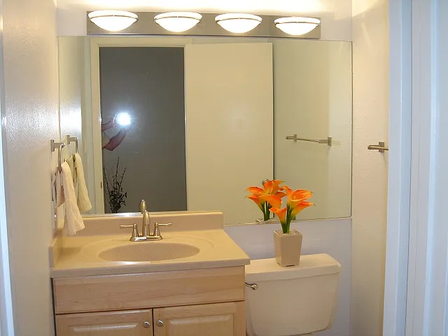 Guest bathroom