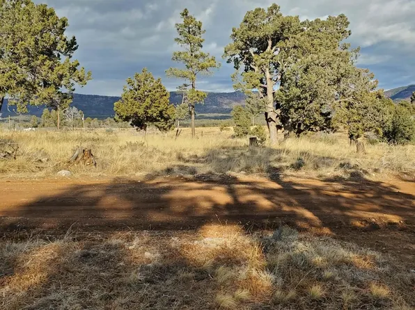 Pawhuska Dr, Timberon, NM 88350