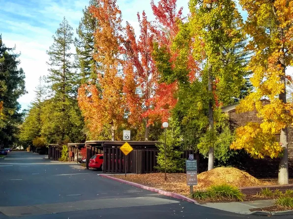 57 Pearce Mitchell Pl, Stanford, CA 94305