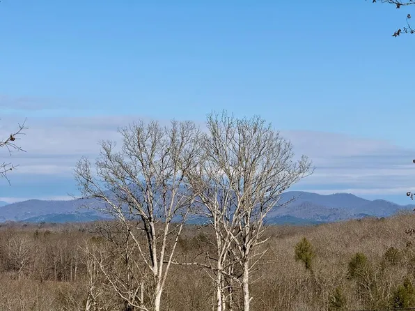 C4 Briarwoods Ln, Blue Ridge, GA 30513