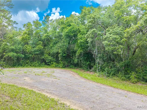 9870 N Sky Point, Citrus Springs, FL 34434
