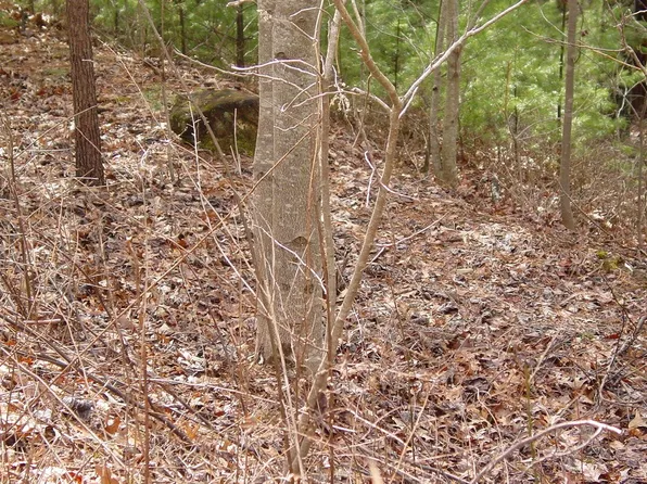 10 Spaniard Point Rd, Hiawassee, GA 30546