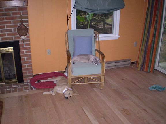 Hardwood floors throughout