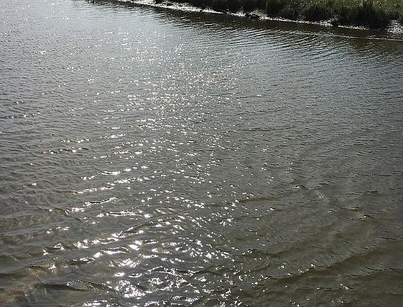 Thailia Creek waterfront