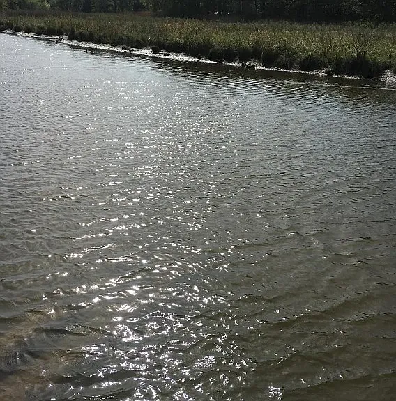 Thailia Creek waterfront