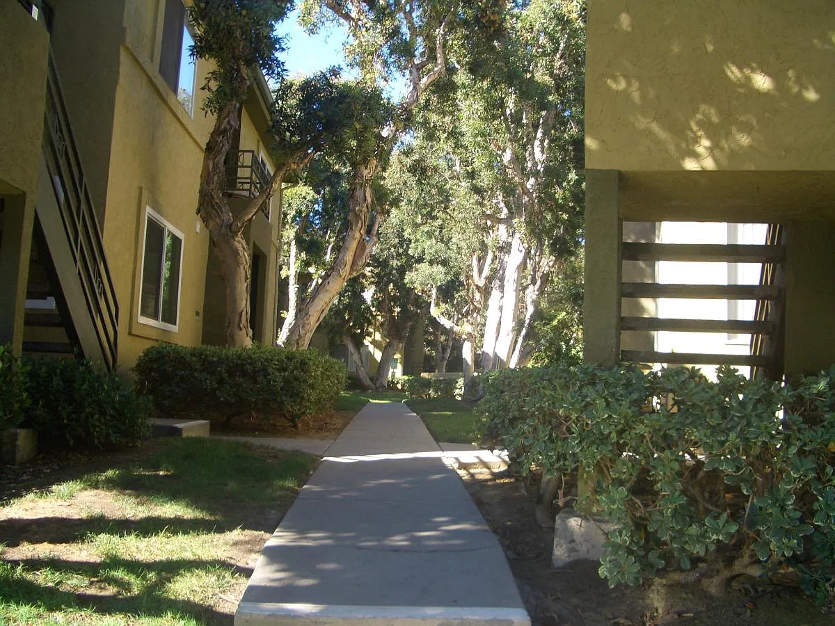 7565 Charmant Drive — Photo 4