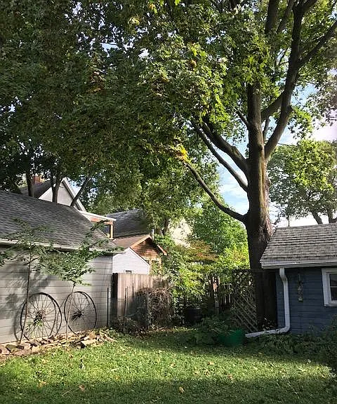 Back yard