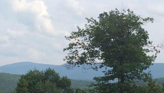 On Windham Border 