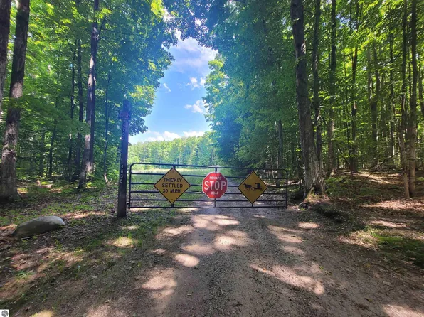 Cabin Ln NE, Kalkaska, MI 49646