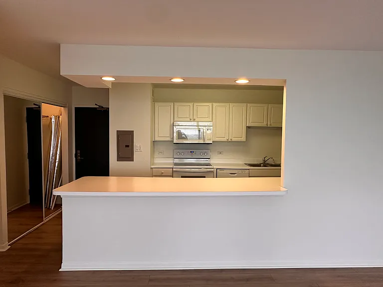3930 N Pine Grove Ave #2010 — Photo 3