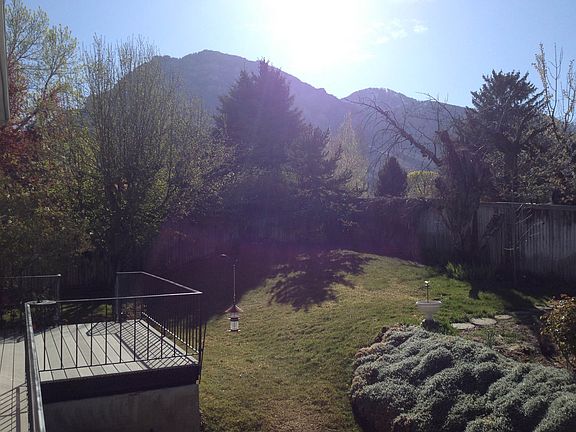 view from the deck