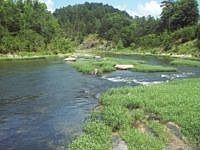2nd image of 1191 Puckett Bend Rd