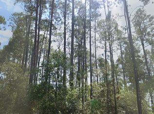 127 SE 1st St, Georgetown, FL 32139