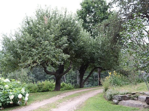 5th image of 35 Welch Rd