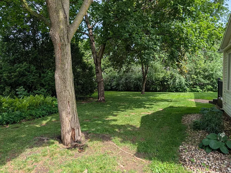 1311 Whittier Dr — Photo 45