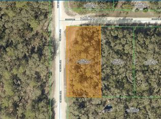 Sharpe St, Webster, FL 33597