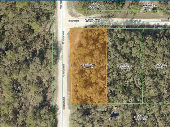 Sharpe St, Webster, FL 33597