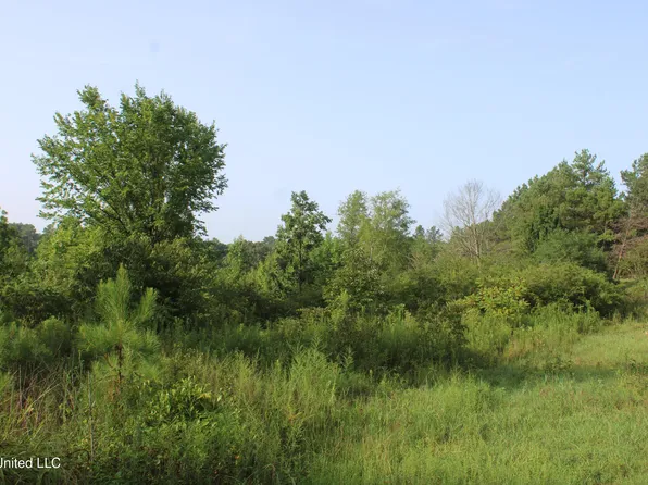 3702 Higdon Rd #7, Holly Springs, MS 38635