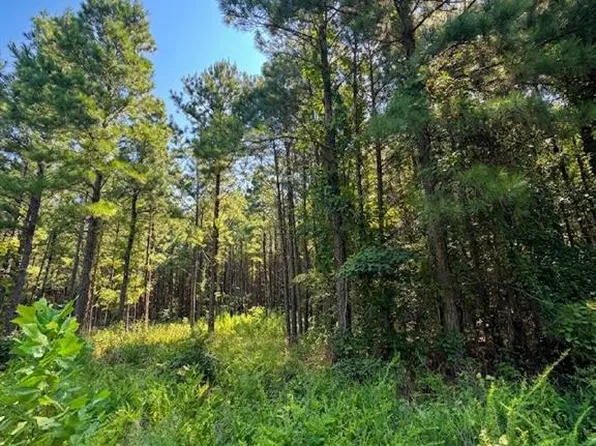 470 Creek Side Trail, Broken Bow, OK 74728