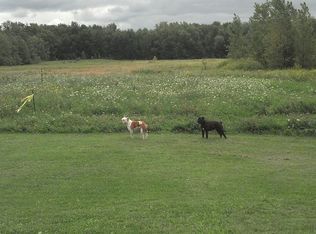 12247 Jeddo Rd, Yale, MI 48097