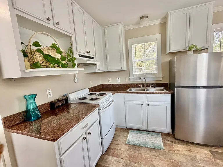 161 Caswell Branch Rd — Photo 3