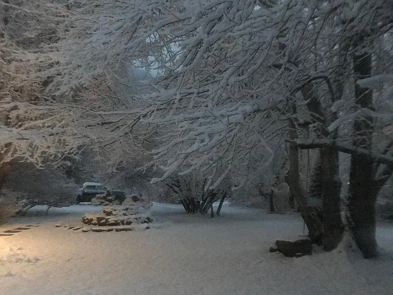 3207 Route 212 — Photo 24