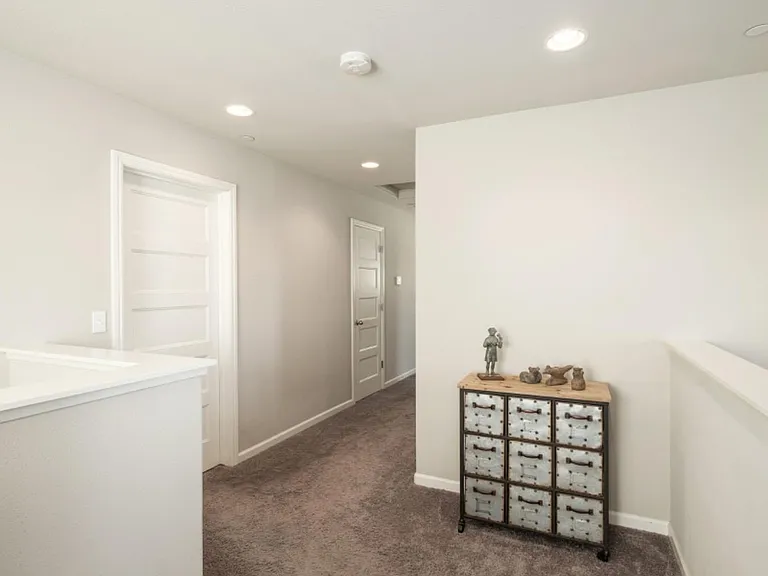3514 Luminary Way — Photo 13