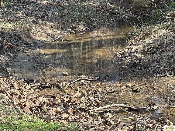5th image of 1602 Casey Fork Cook Rd